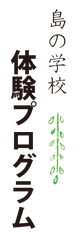島の学校体験プログラム